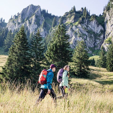 Zwei Menschen wandern mit Rucksäcken durch eine Wiese, umgeben von hohen Kiefern und schroffen Berggipfeln im Hintergrund unter einem klaren blauen Himmel.