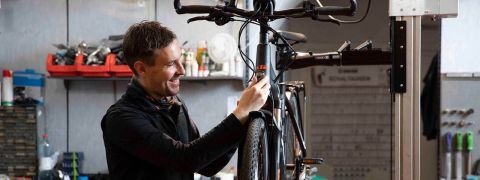 Ein Radfahrer mit Helm und Sonnenbrille fährt mit seinem Mountainbike auf einem Feldweg, der von leuchtenden Wildblumen und spärlichen Bäumen umgeben ist. Der Hintergrund zeigt eine raue, natürliche Landschaft unter einem klaren Himmel.