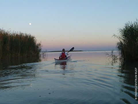 Eine Person in einer roten Schwimmweste fährt bei Sonnenuntergang Kajak auf ruhigem Wasser, umgeben von hohem Schilf. Der Himmel ist in sanfte Farben getaucht und in der Ferne ist ein Mond zu sehen.