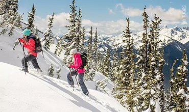 Zwei Personen laufen mit Schneeschuhen einen schneebedeckten Hang hinauf, der von immergrünen Bäumen umgeben ist. Sie tragen Winterkleidung und Stöcke. Im Hintergrund sind schneebedeckte Berge unter einem blauen Himmel zu sehen.
