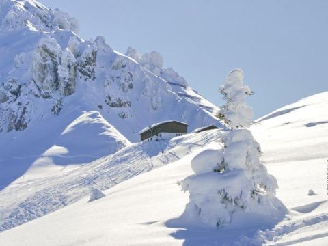Eine schneebedeckte Landschaft mit einer kleinen Hütte an einem Hang. Im Vordergrund steht ein schneebedeckter Baum vor dem weißen Hintergrund. In der Ferne erheben sich zerklüftete, schneebedeckte Berge unter einem klaren blauen Himmel.