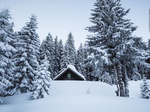 Eine schneebedeckte Holzhütte liegt eingebettet zwischen hohen immergrünen Bäumen in einem Wald. Die umgebende Landschaft ist mit Schnee bedeckt und schafft eine ruhige und malerische Winterszene unter einem klaren, hellblauen Himmel.