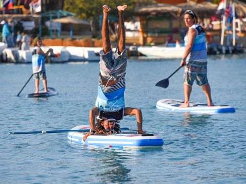 Eine Person macht einen Kopfstand auf einem Paddleboard im Wasser. Sie trägt ein hellblaues Tanktop und Shorts. Zwei weitere Personen paddeln in der Nähe, beide ähnlich gekleidet. Im Hintergrund ist eine Küstenlinie mit Gebäuden und Bäumen zu sehen.