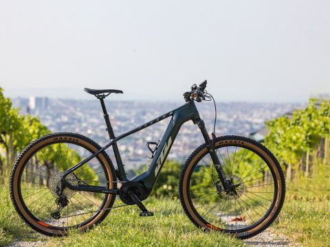 Elektrisches Mountainbike mit einem eleganten schwarzen Rahmen, das auf einem Grasweg zwischen Weinbergen geparkt ist. Im Hintergrund ist die Stadtlandschaft unter einem dunstigen Himmel zu sehen.
