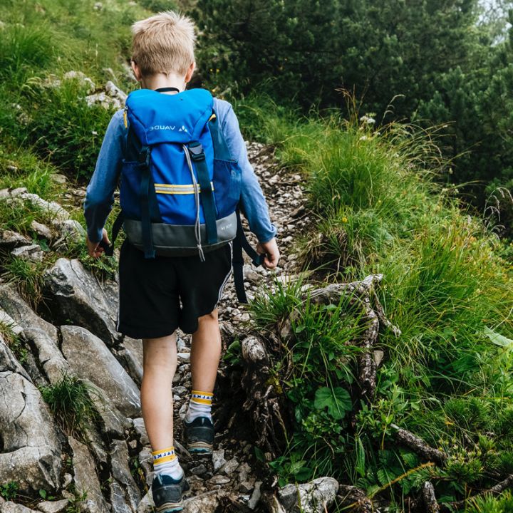 Ein kleines Kind mit einem blauen Rucksack wandert einen steinigen, schmalen Pfad hinauf, der von grünem Gras und Büschen umgeben ist. Es trägt ein blaues Hemd, schwarze Shorts und graue Socken mit Turnschuhen. Die Szene spielt im Freien, möglicherweise in einer bergigen Gegend.
