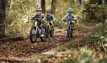 Drei Kinder fahren mit dem Fahrrad auf einem laubbedeckten Waldweg. In Freizeitkleidung und mit Helmen genießen sie die malerische, von Bäumen gesäumte Strecke, während das Sonnenlicht durch das Laub fällt. Die Szene fängt die Essenz von Outdoor-Abenteuer und Natur ein.