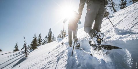 Zwei Personen wandern mit Schneeschuhen und Trekkingstöcken einen verschneiten Hang hinauf. Die Sonne scheint hell und erzeugt ein Linsenreflexionslicht. Im Hintergrund sind schneebedeckte Bäume unter einem strahlend blauen Himmel zu sehen.