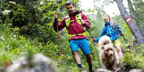 Ein Mann und eine Frau wandern mit einem flauschigen Hund im Wald. Der Mann trägt eine rote Jacke, einen gelben Rucksack und blaue Shorts, die Frau eine blaue Jacke und einen blauen Rucksack. Sie benutzen Trekkingstöcke und wandern einen Pfad entlang.