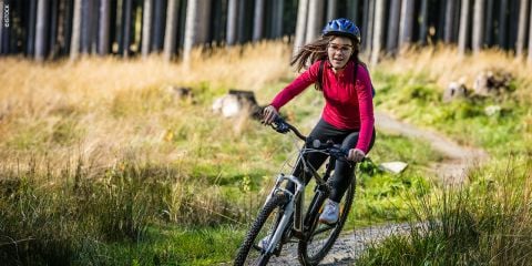 Eine Person mit rotem Oberteil und blauem Helm fährt mit dem Mountainbike einen Waldweg entlang. Hohe Bäume und goldenes Gras säumen den Weg und bilden eine malerische Naturkulisse. Der Fahrer wirkt konzentriert und voller Energie.