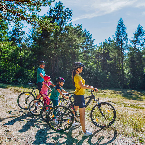 Eine vierköpfige Familie mit Helmen steht mit ihren Fahrrädern auf einem Waldweg. Im Hintergrund sind hohe Bäume und ein klarer Himmel zu sehen. Die Gruppe, darunter zwei Kinder, scheint einen sonnigen Tag im Freien zu genießen.